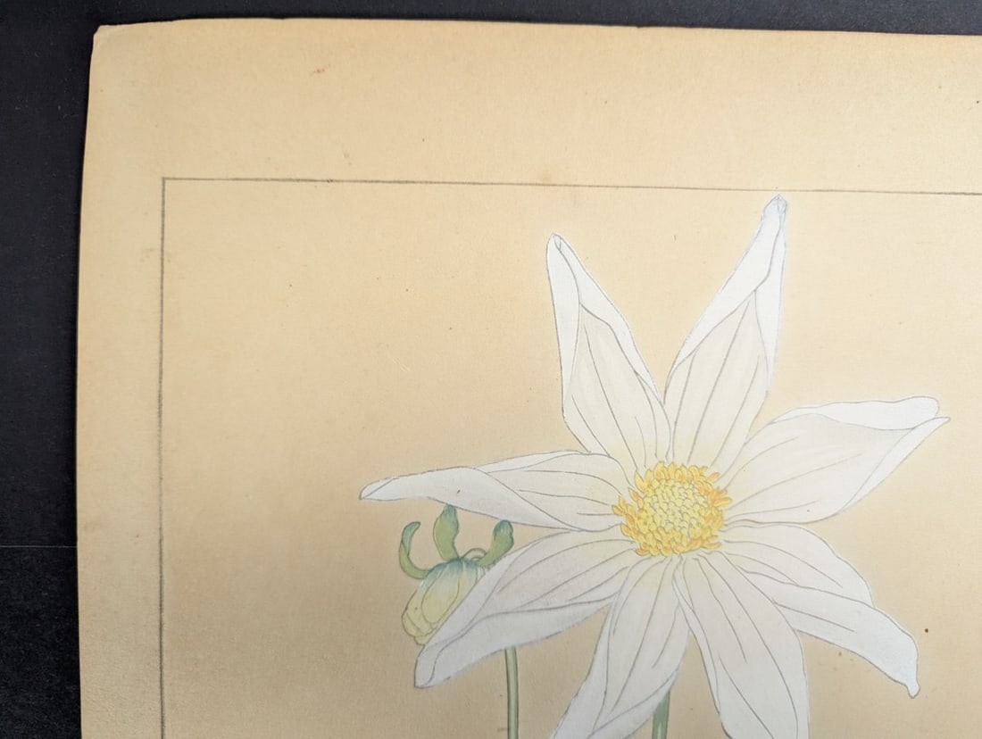 Rakuzan Tsuchiya Dahlia Japanese Woodblock Print - 2