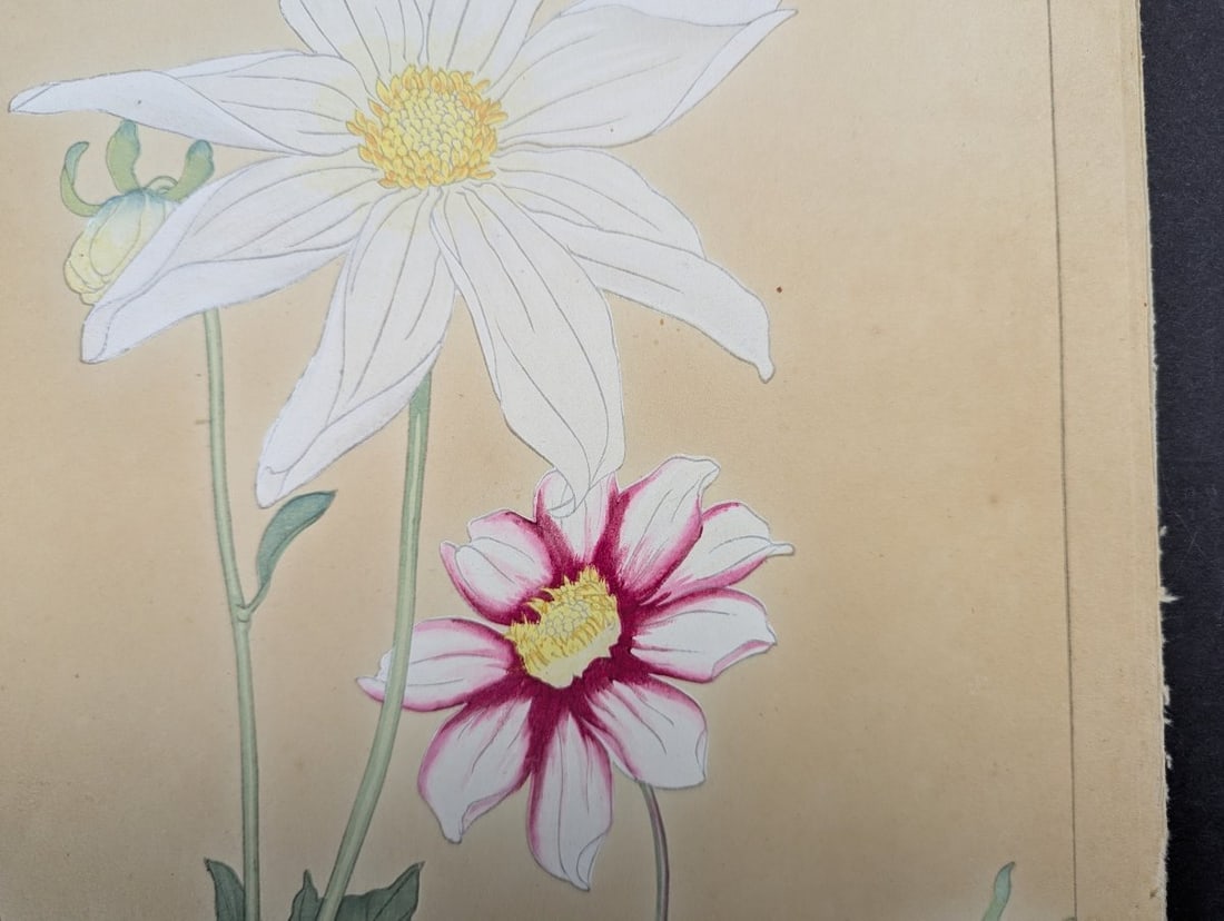 Rakuzan Tsuchiya Dahlia Japanese Woodblock Print - 5