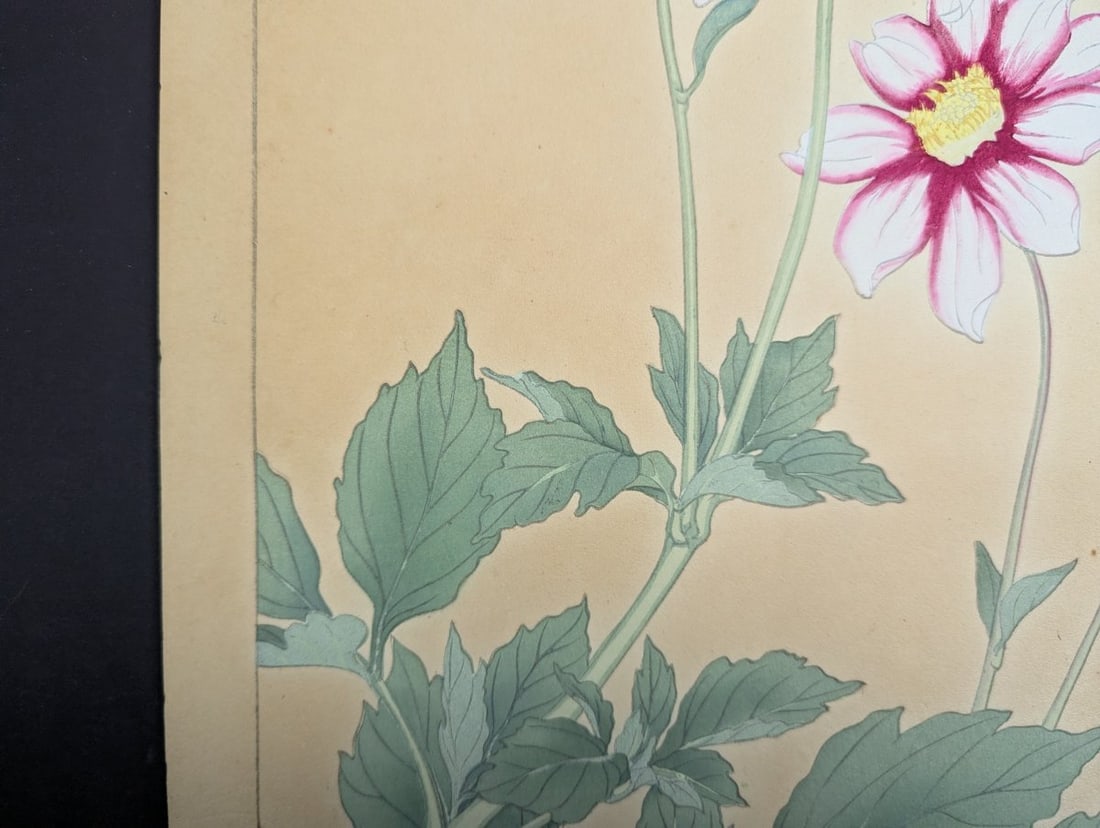 Rakuzan Tsuchiya Dahlia Japanese Woodblock Print - 6