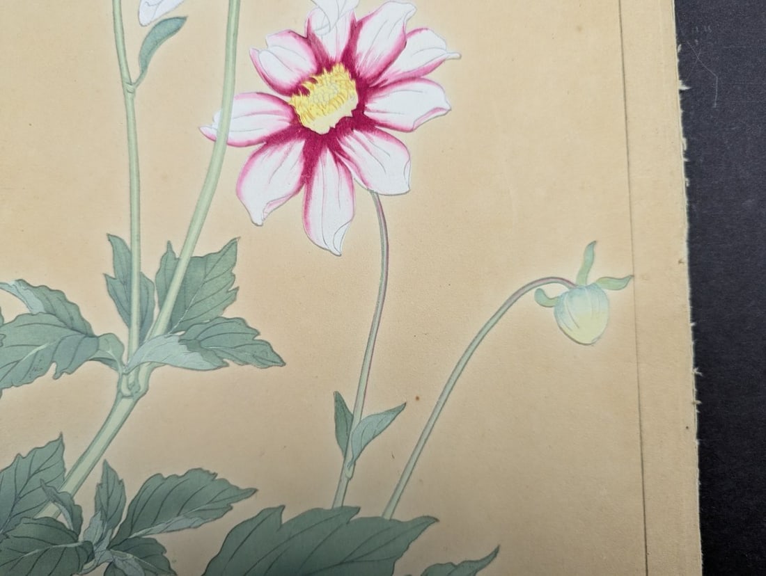 Rakuzan Tsuchiya Dahlia Japanese Woodblock Print - 7