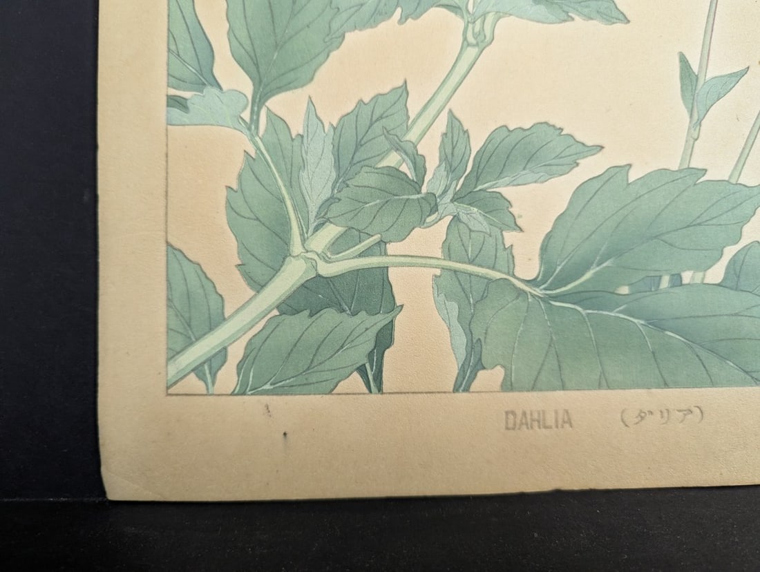 Rakuzan Tsuchiya Dahlia Japanese Woodblock Print - 9