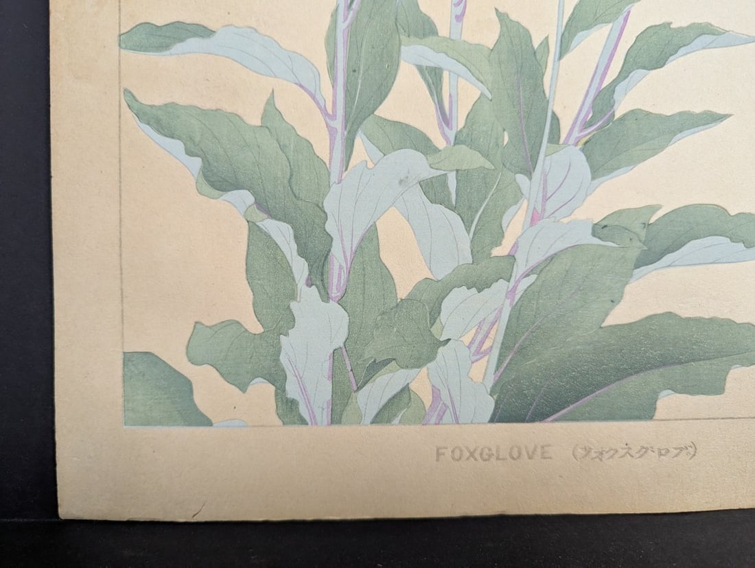 Foxglove Japanese Woodblock Print by Rakuzan - Vibrant Floral Artwork - 10