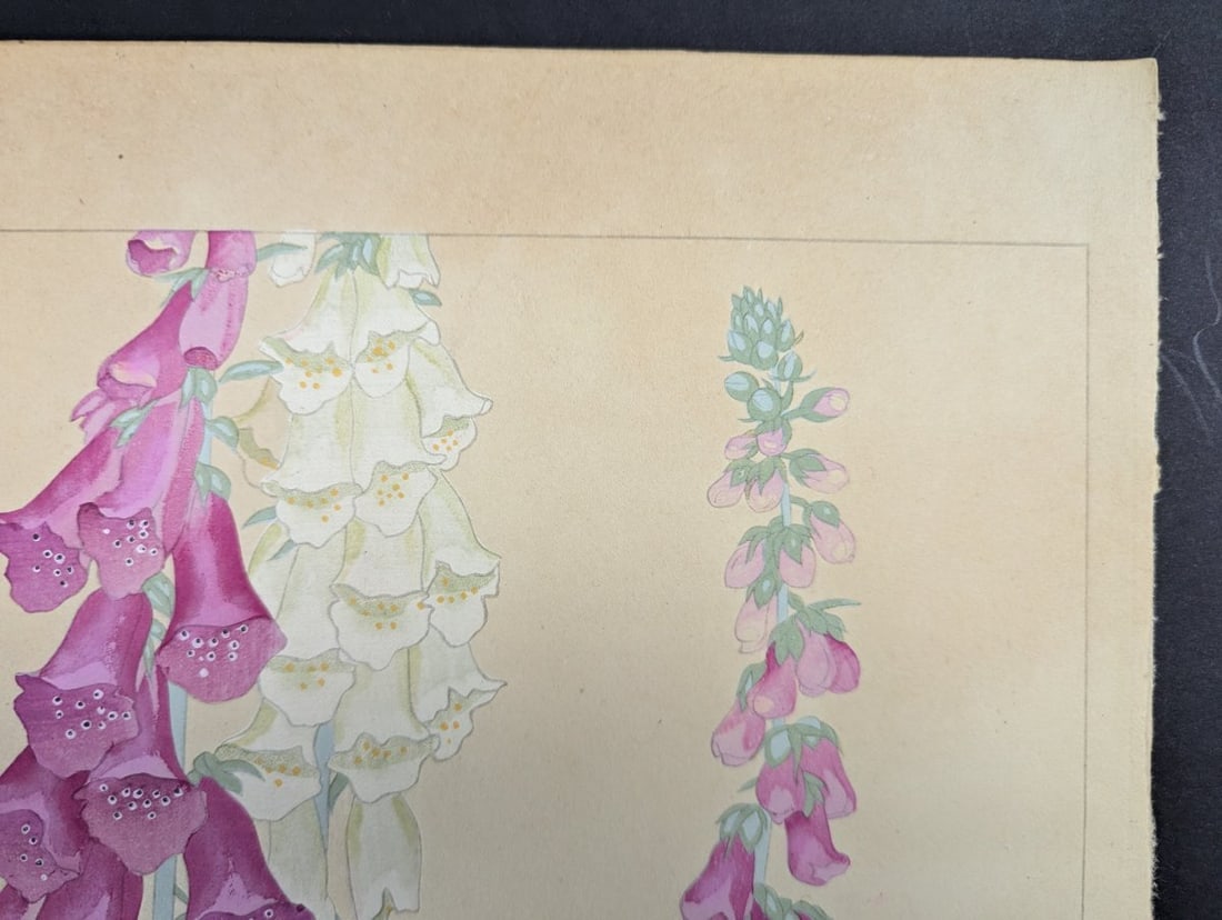 Foxglove Japanese Woodblock Print by Rakuzan - Vibrant Floral Artwork - 2