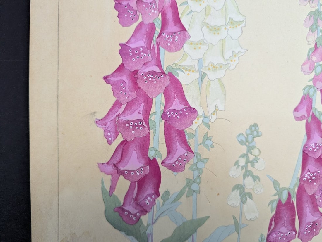 Foxglove Japanese Woodblock Print by Rakuzan - Vibrant Floral Artwork - 4