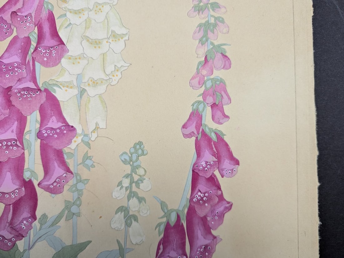 Foxglove Japanese Woodblock Print by Rakuzan - Vibrant Floral Artwork - 5