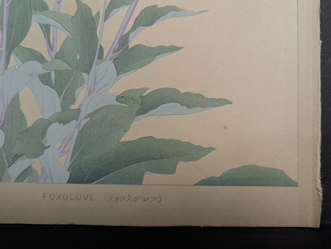 Foxglove Japanese Woodblock Print by Rakuzan - Vibrant Floral Artwork - 7