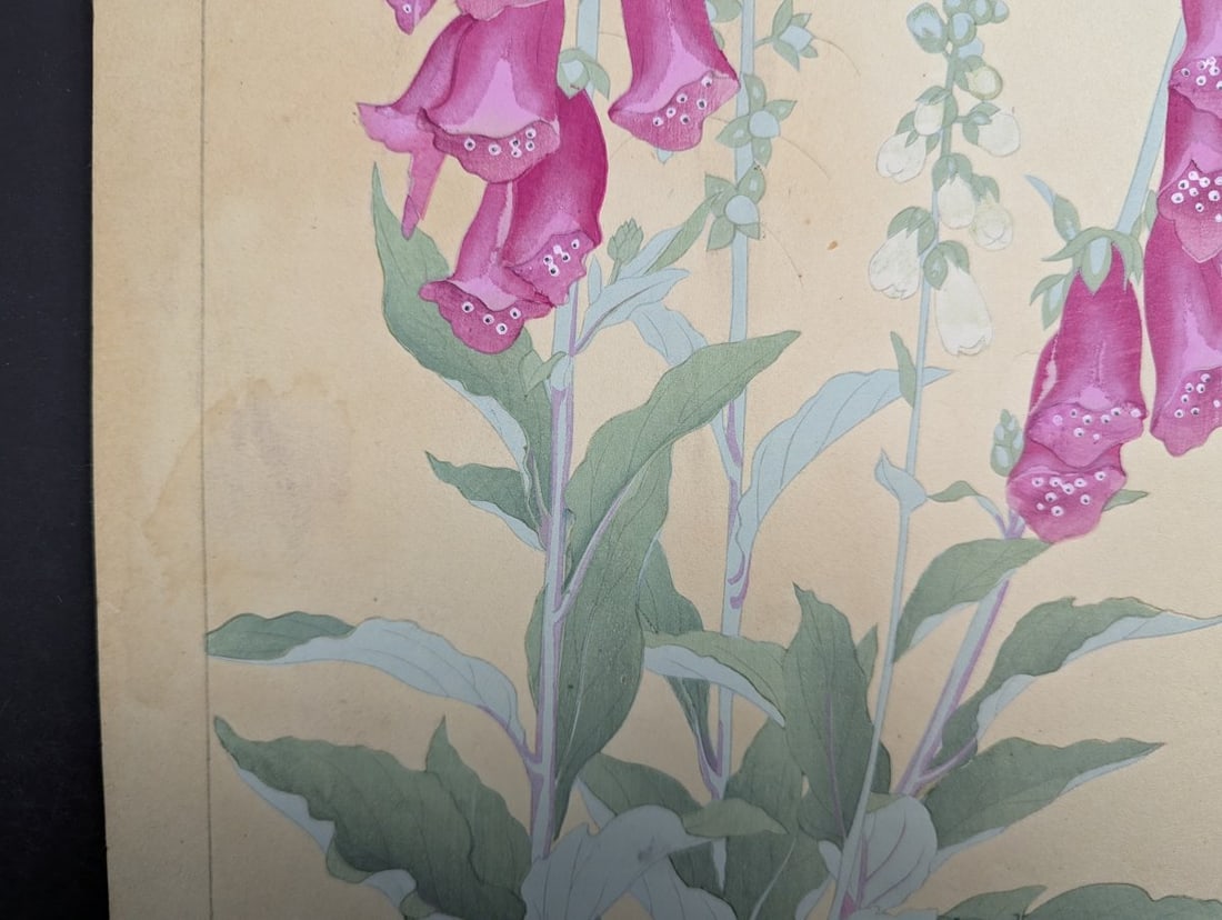 Foxglove Japanese Woodblock Print by Rakuzan - Vibrant Floral Artwork - 8