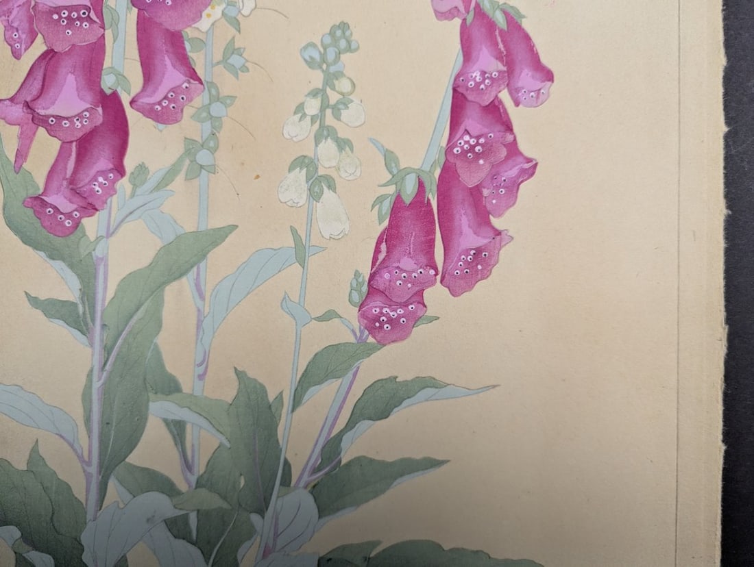 Foxglove Japanese Woodblock Print by Rakuzan - Vibrant Floral Artwork - 9