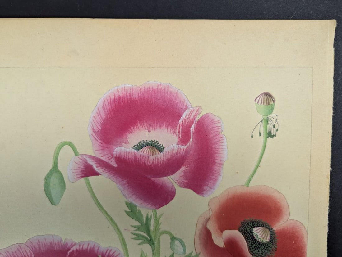 Japanese Woodblock Print Poppy by Rakuzan Nakayama - Collectible Floral Art - 2