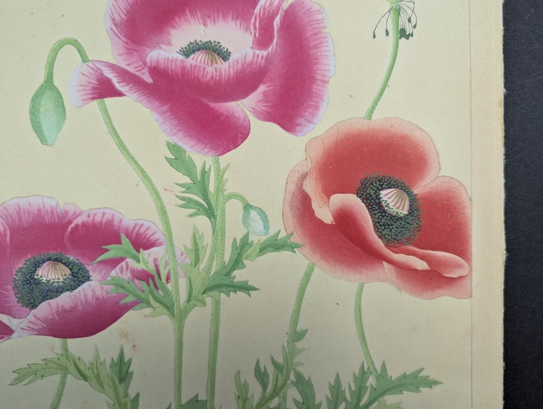 Japanese Woodblock Print Poppy by Rakuzan Nakayama - Collectible Floral Art - 3