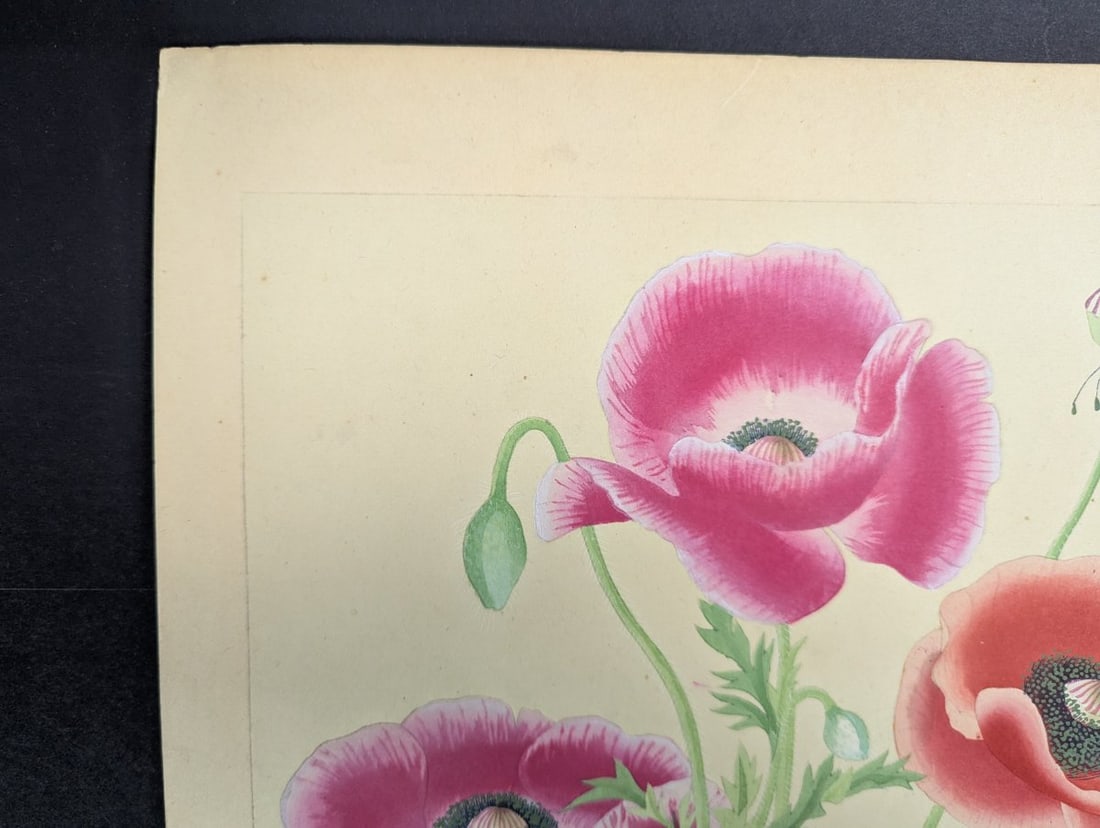 Japanese Woodblock Print Poppy by Rakuzan Nakayama - Collectible Floral Art - 4