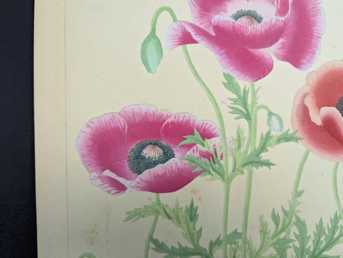 Japanese Woodblock Print Poppy by Rakuzan Nakayama - Collectible Floral Art - 5