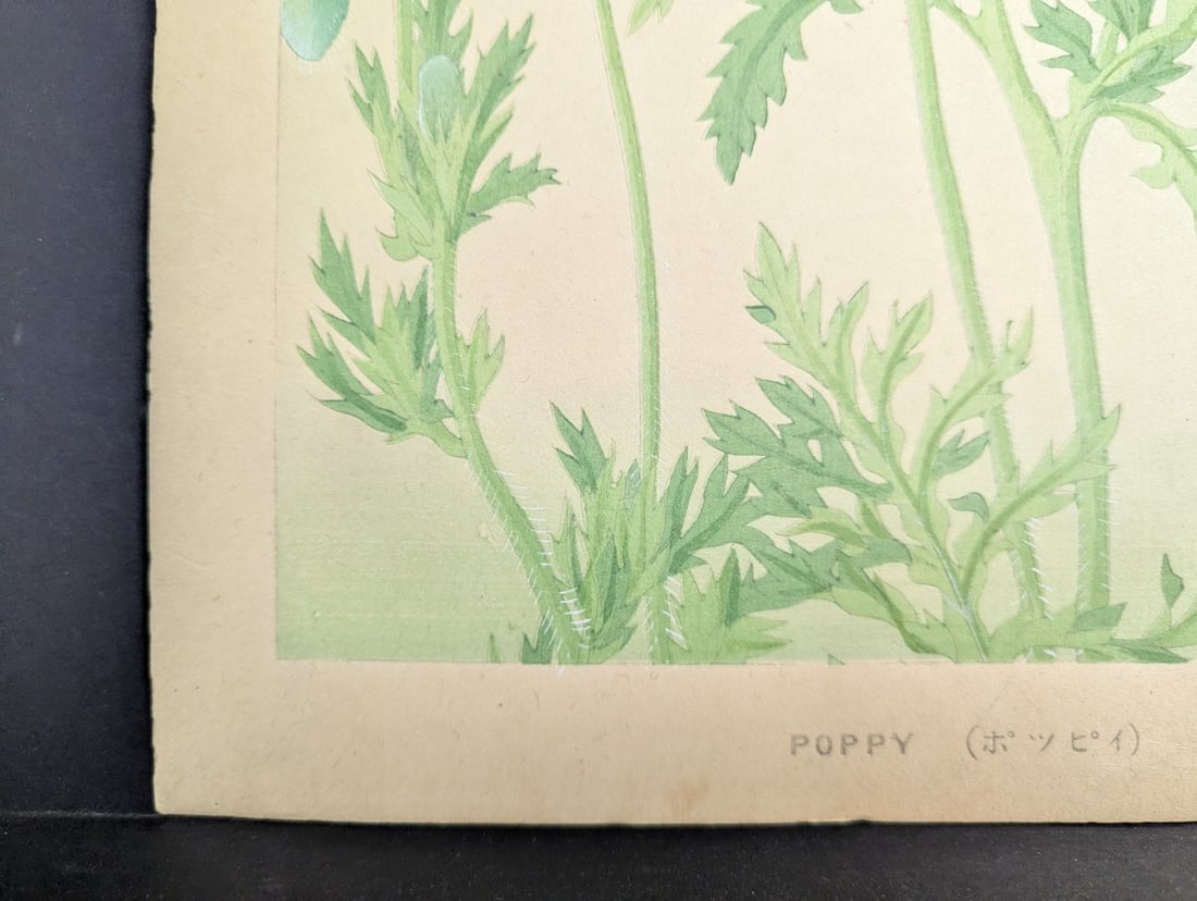 Japanese Woodblock Print Poppy by Rakuzan Nakayama - Collectible Floral Art - 7