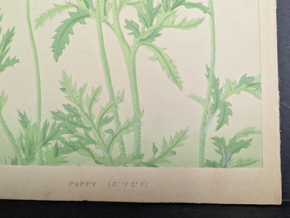 Japanese Woodblock Print Poppy by Rakuzan Nakayama - Collectible Floral Art - 8