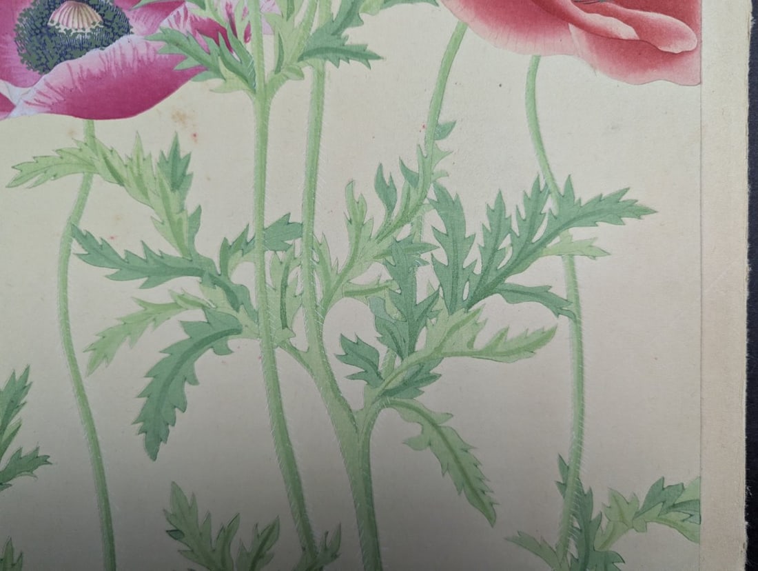 Japanese Woodblock Print Poppy by Rakuzan Nakayama - Collectible Floral Art - 9