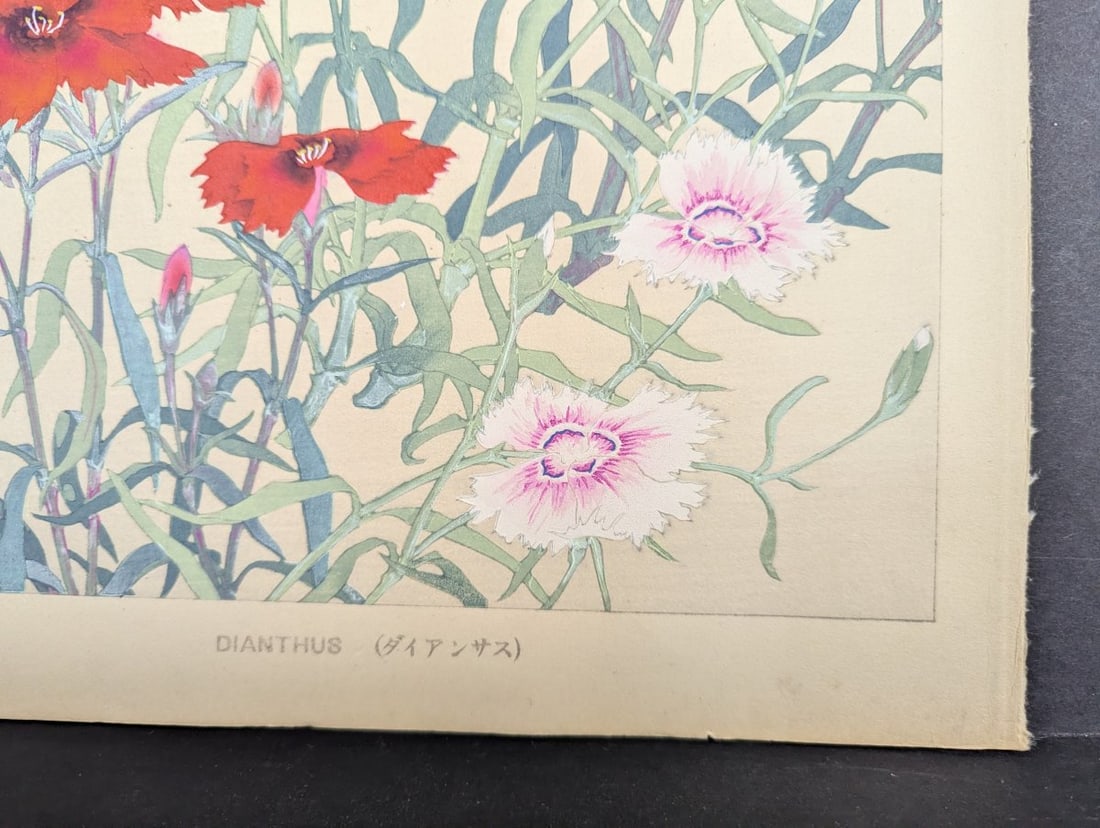 Rakuzan Tsuchiya Dianthus Japanese Woodblock Print - 10