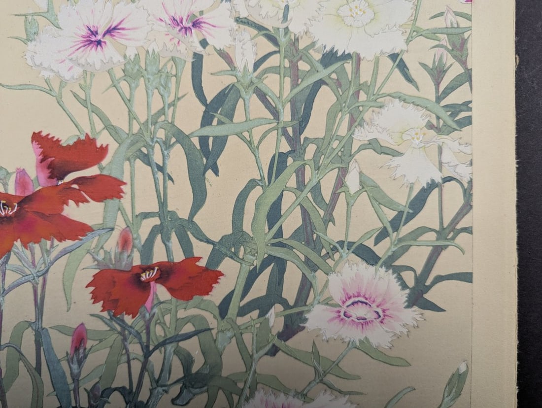 Rakuzan Tsuchiya Dianthus Japanese Woodblock Print - 8