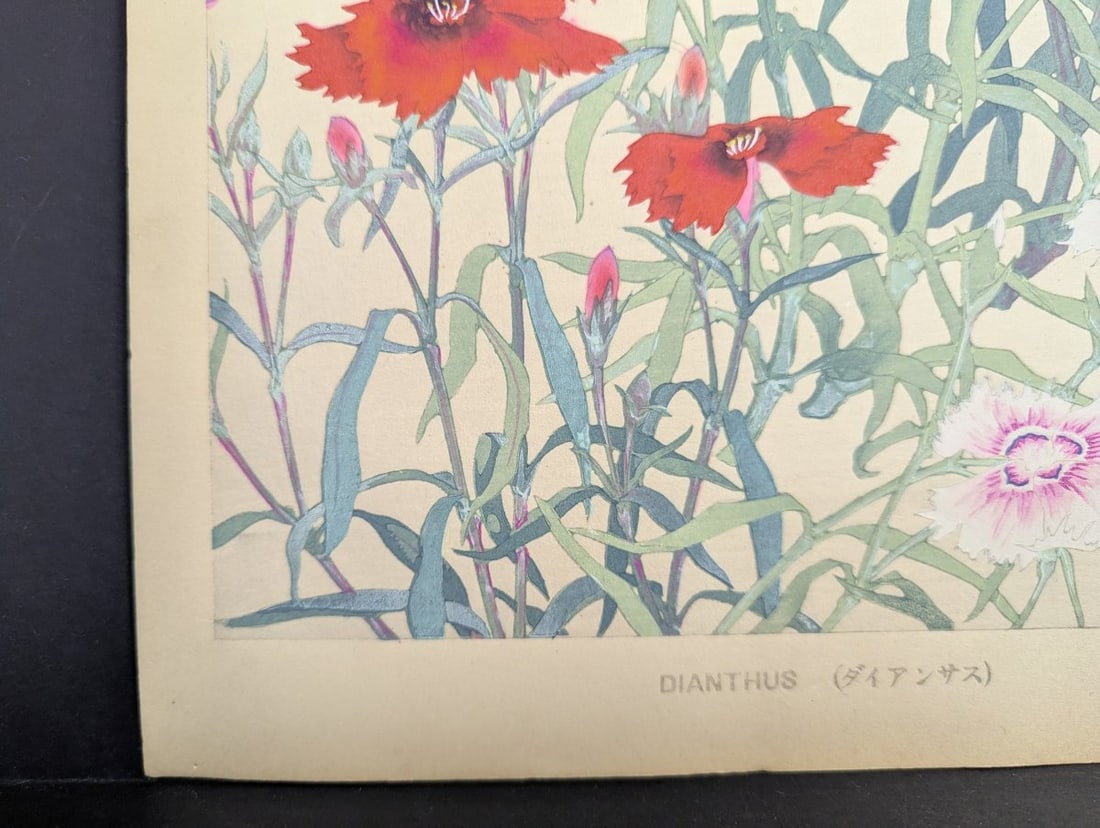 Rakuzan Tsuchiya Dianthus Japanese Woodblock Print - 9