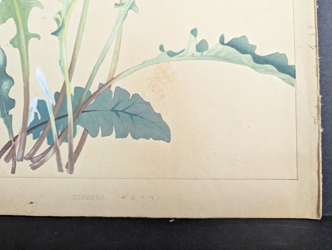 Tsuchiya Rakuzan Gerbera Japanese Woodblock Print - 10