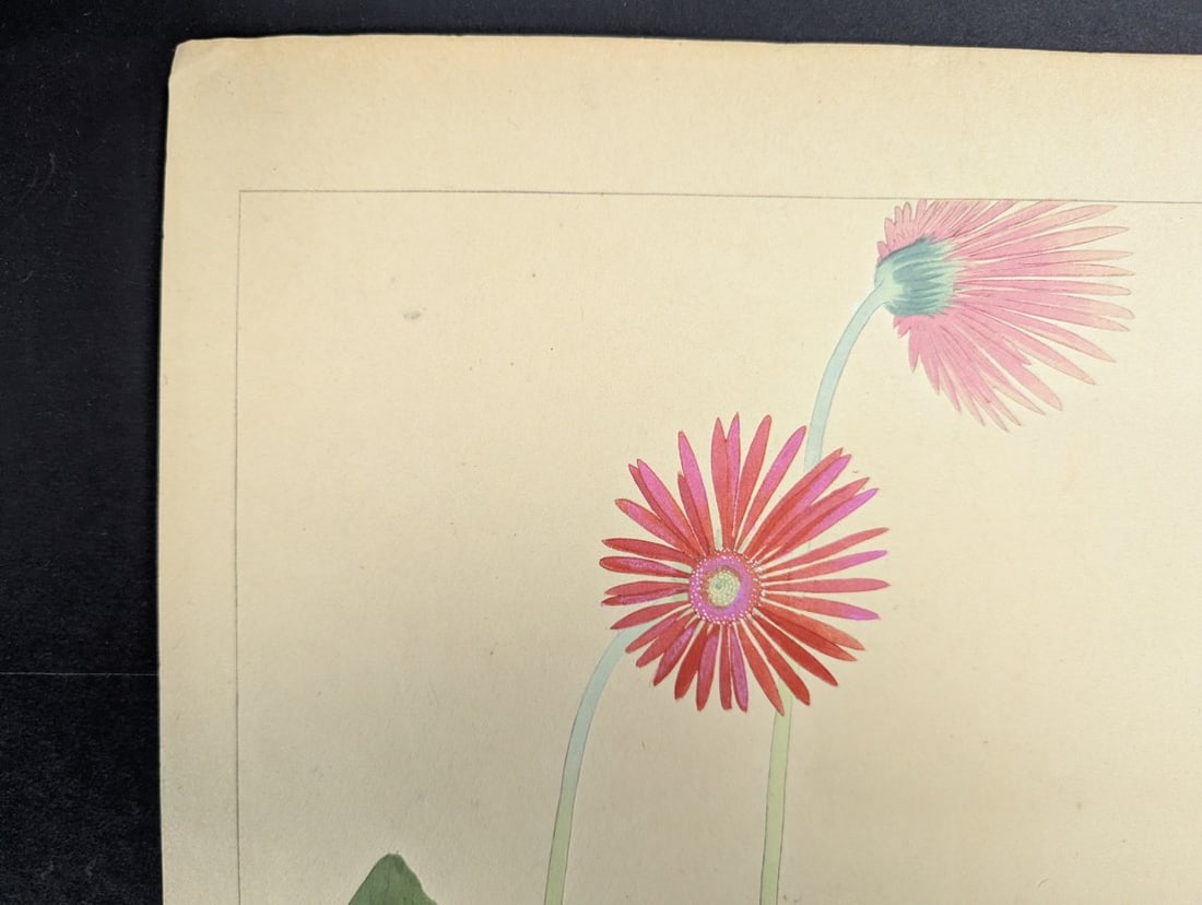 Tsuchiya Rakuzan Gerbera Japanese Woodblock Print - 2