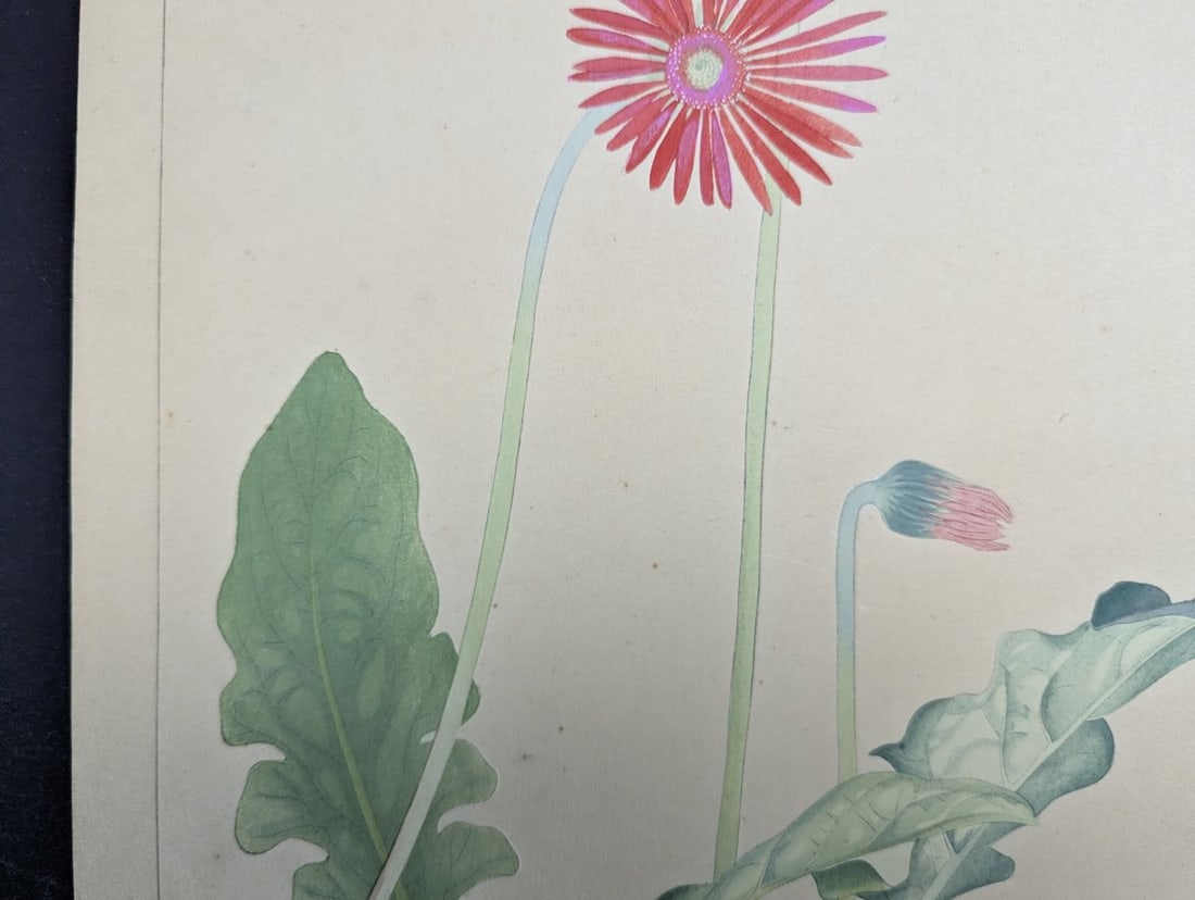 Tsuchiya Rakuzan Gerbera Japanese Woodblock Print - 4