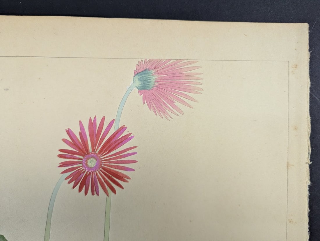 Tsuchiya Rakuzan Gerbera Japanese Woodblock Print - 5