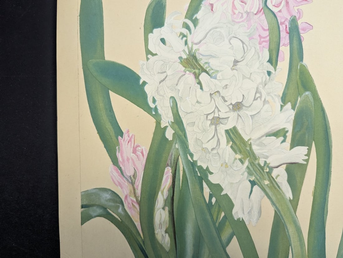 Hyacinthus Japanese Woodblock Print by Rakuzan Tsuchiya - Botantical Series Art - 4