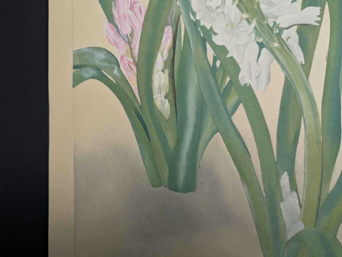 Hyacinthus Japanese Woodblock Print by Rakuzan Tsuchiya - Botantical Series Art - 6