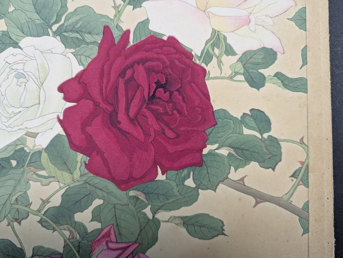Rakuzan Tsuchiya Rose Japanese Woodblock Print by Renowned Shin-Hanga Artist - 10