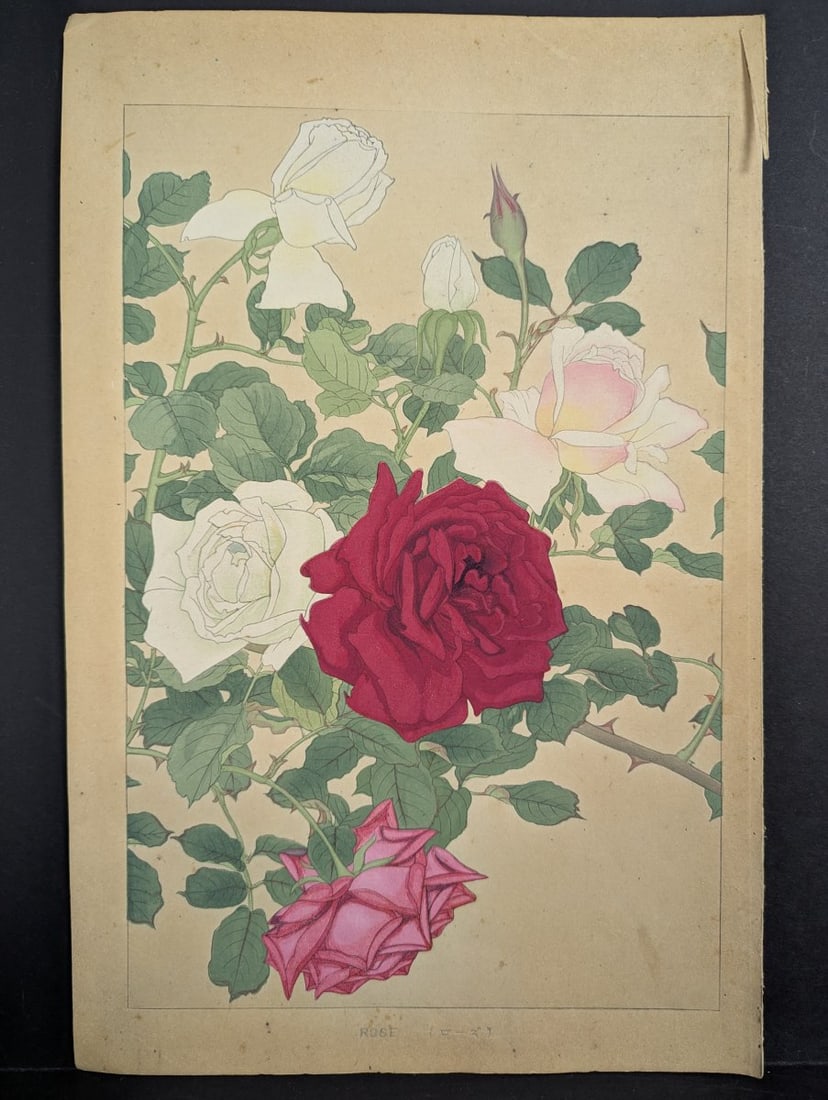 Rakuzan Tsuchiya Rose Japanese Woodblock Print by Renowned Shin-Hanga Artist (1 of 10)