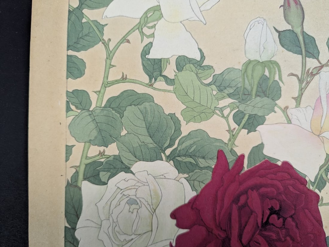 Rakuzan Tsuchiya Rose Japanese Woodblock Print by Renowned Shin-Hanga Artist - 2