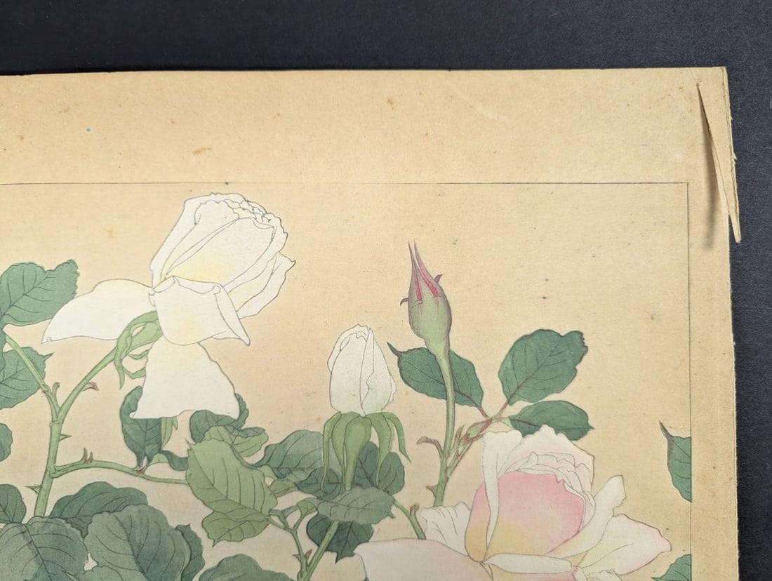 Rakuzan Tsuchiya Rose Japanese Woodblock Print by Renowned Shin-Hanga Artist - 4