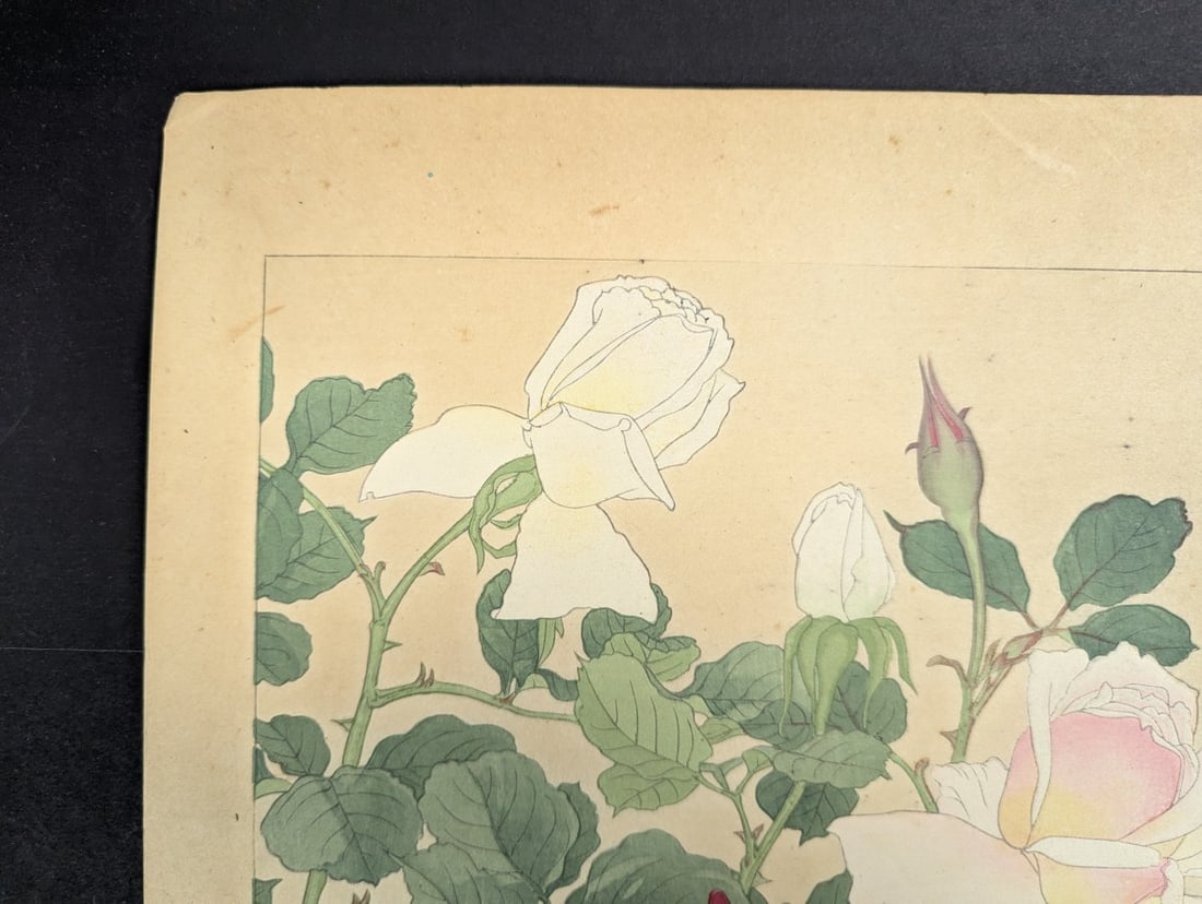 Rakuzan Tsuchiya Rose Japanese Woodblock Print by Renowned Shin-Hanga Artist - 5