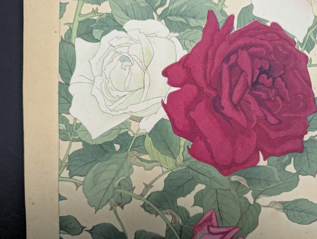 Rakuzan Tsuchiya Rose Japanese Woodblock Print by Renowned Shin-Hanga Artist - 7