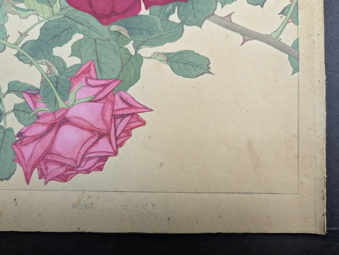 Rakuzan Tsuchiya Rose Japanese Woodblock Print by Renowned Shin-Hanga Artist - 8