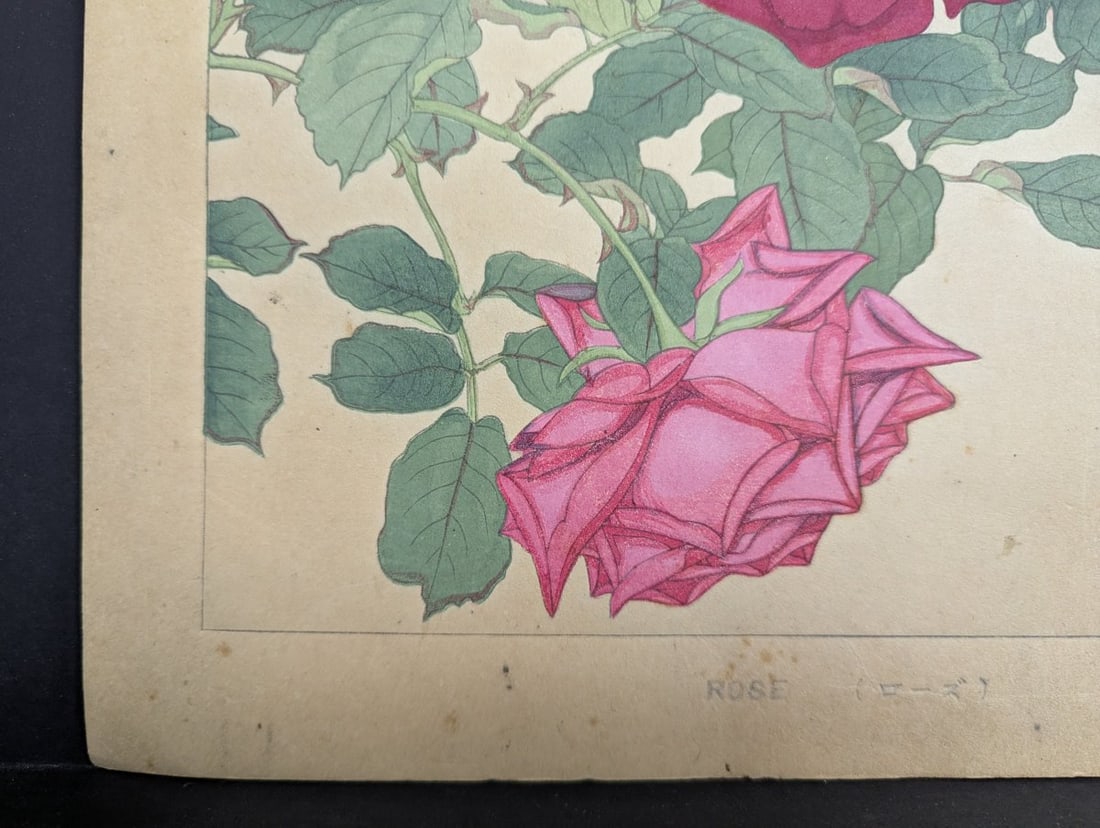 Rakuzan Tsuchiya Rose Japanese Woodblock Print by Renowned Shin-Hanga Artist - 9