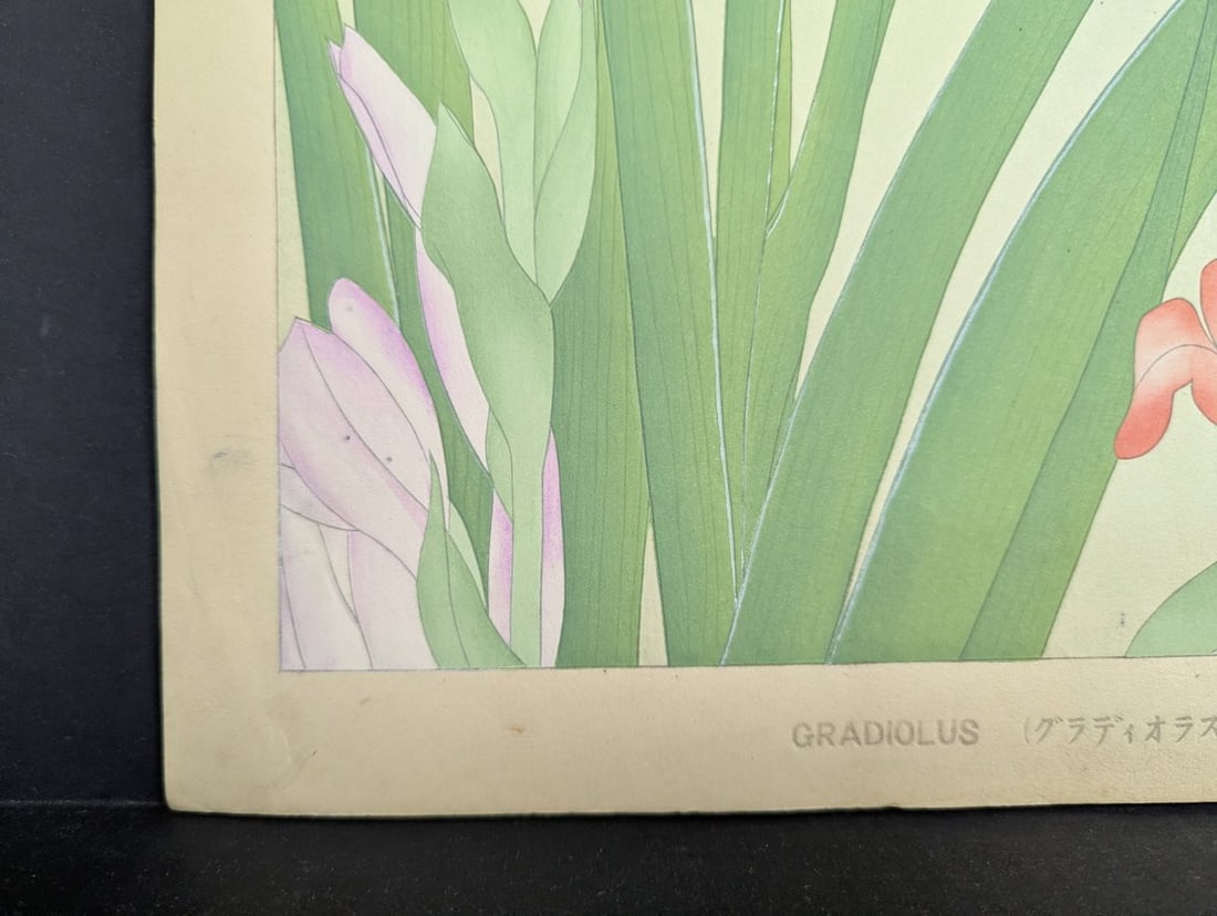 Japanese Woodblock Print by Rakuzan Tsuchiya - Gladiolus - Kacho Gafu Series - 10