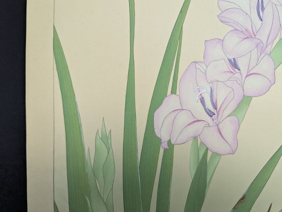 Japanese Woodblock Print by Rakuzan Tsuchiya - Gladiolus - Kacho Gafu Series - 2