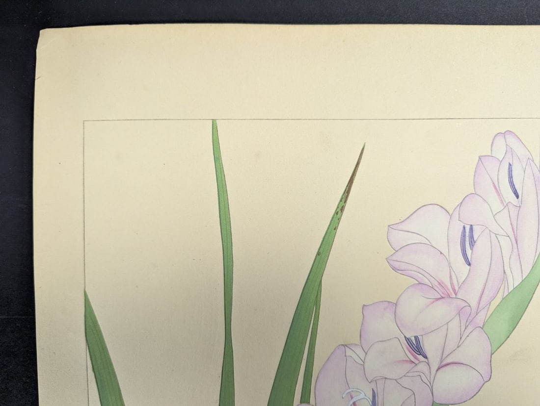 Japanese Woodblock Print by Rakuzan Tsuchiya - Gladiolus - Kacho Gafu Series - 3