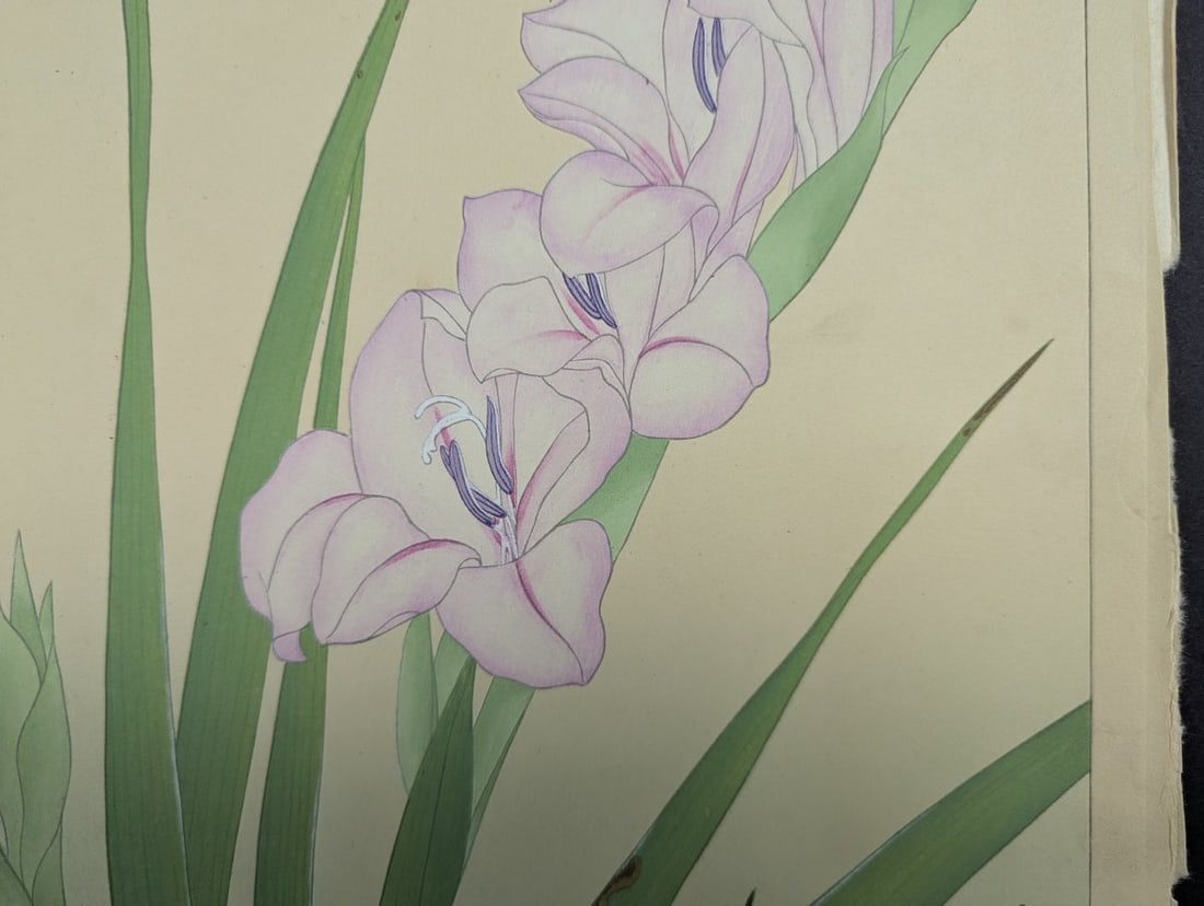 Japanese Woodblock Print by Rakuzan Tsuchiya - Gladiolus - Kacho Gafu Series - 4