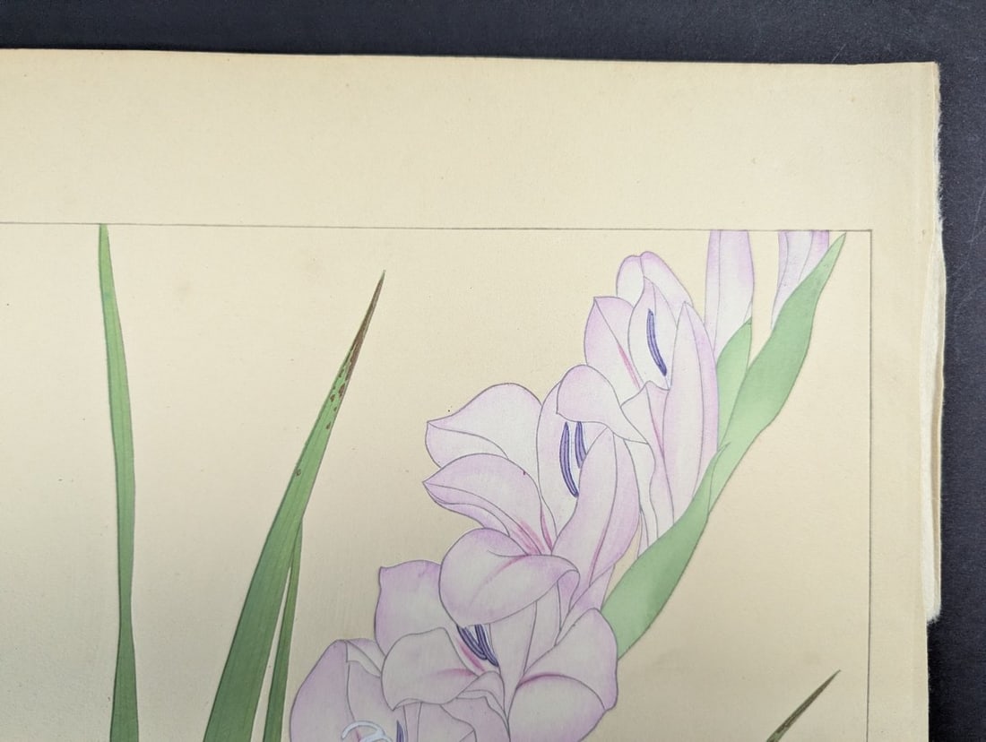 Japanese Woodblock Print by Rakuzan Tsuchiya - Gladiolus - Kacho Gafu Series - 5
