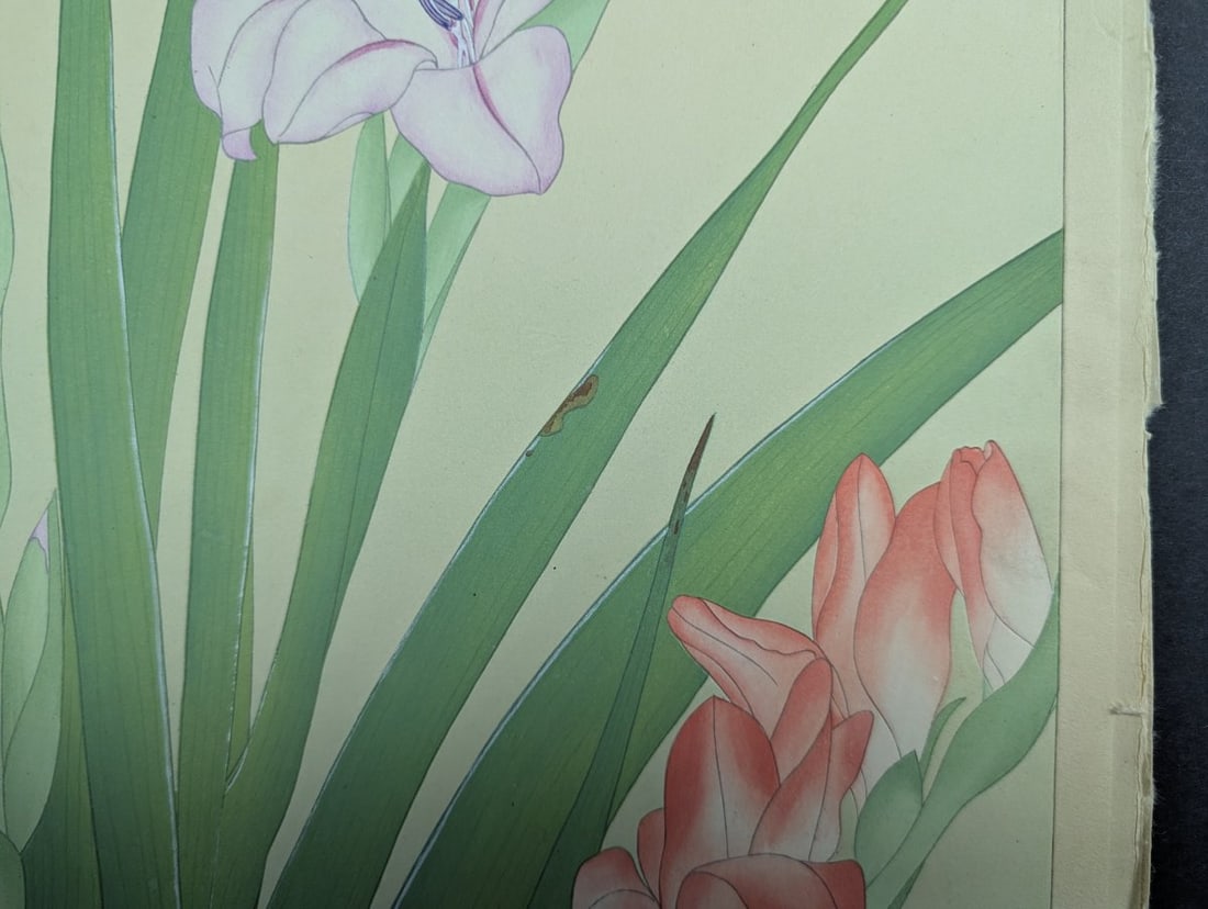 Japanese Woodblock Print by Rakuzan Tsuchiya - Gladiolus - Kacho Gafu Series - 8