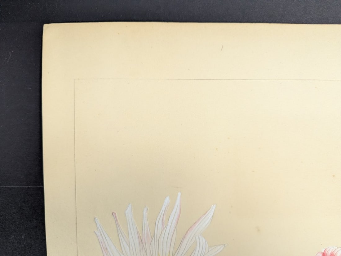 Rakuzan Tsuchiya Japanese Woodblock Print - Dahlia Flowers Artwork - 2
