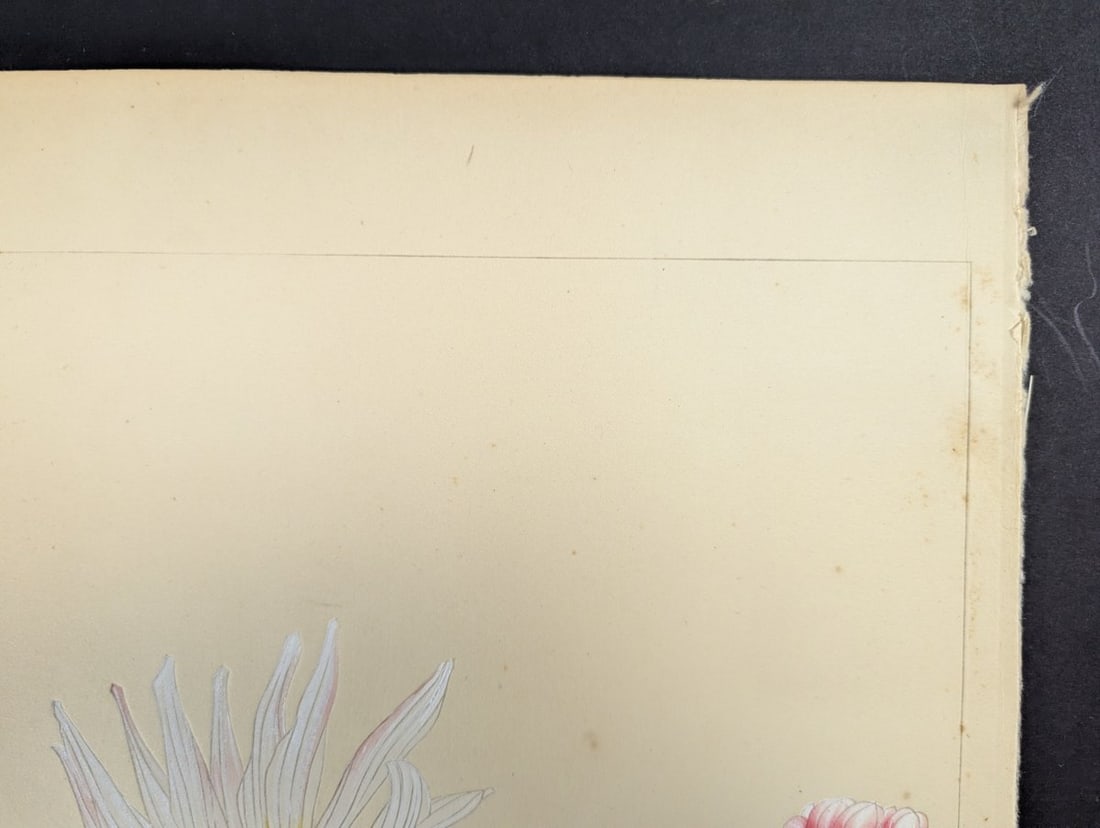 Rakuzan Tsuchiya Japanese Woodblock Print - Dahlia Flowers Artwork - 3