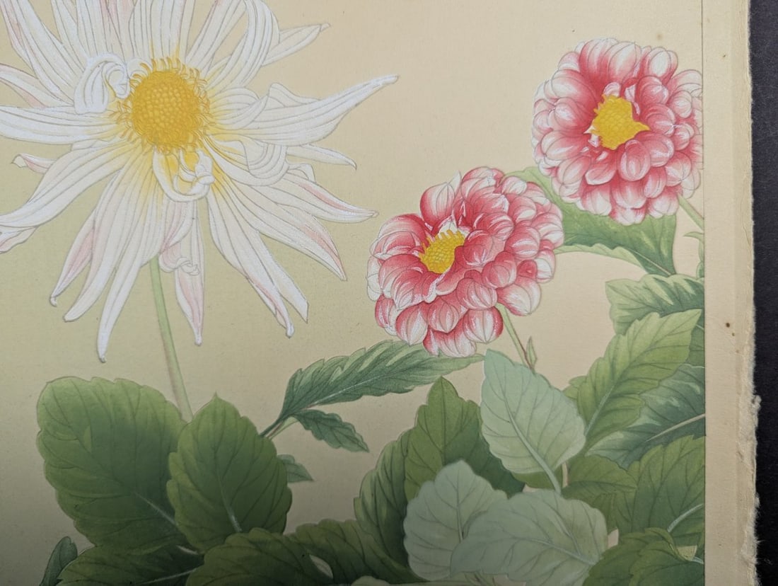 Rakuzan Tsuchiya Japanese Woodblock Print - Dahlia Flowers Artwork - 8