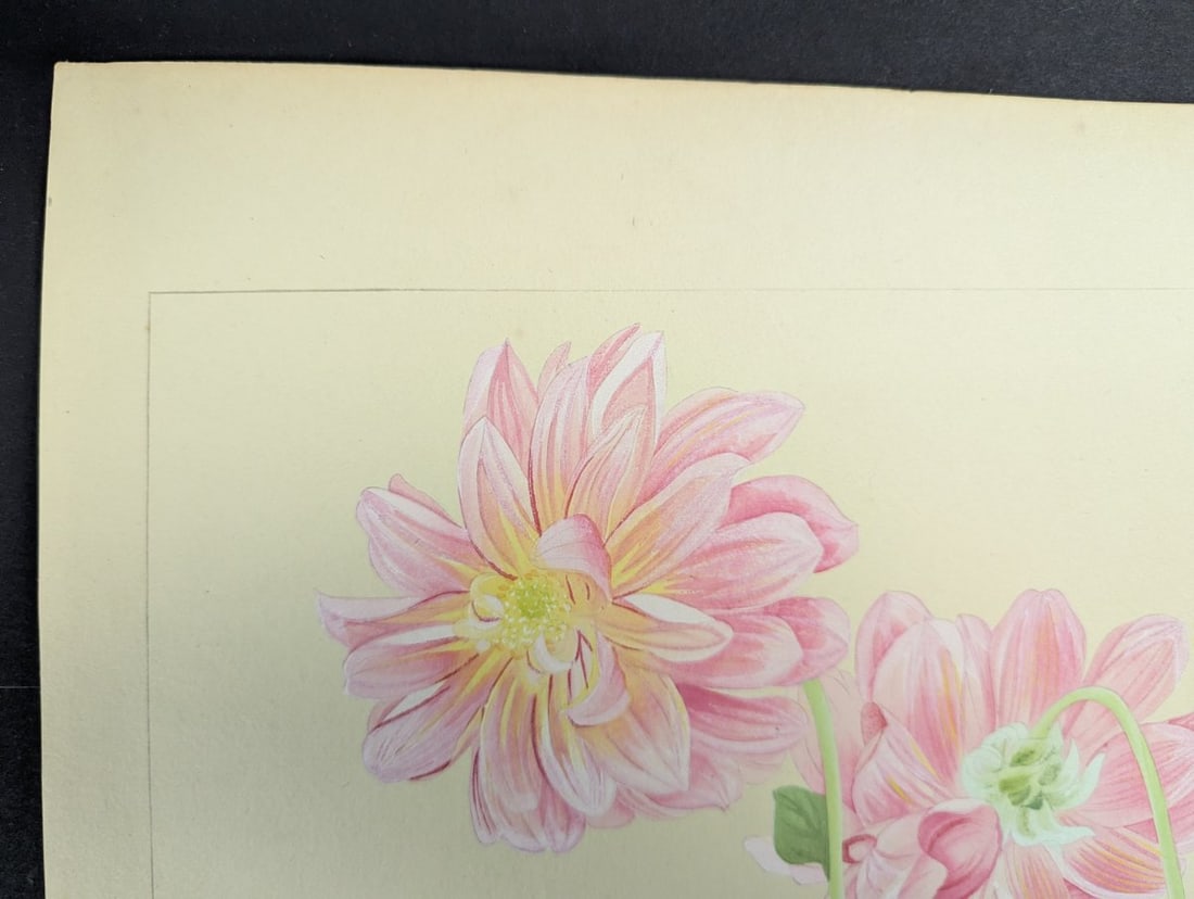 Japanese Woodblock Print Dahlia by Rakuzan Tsuchiya - Early 20th Century Artwork - 2