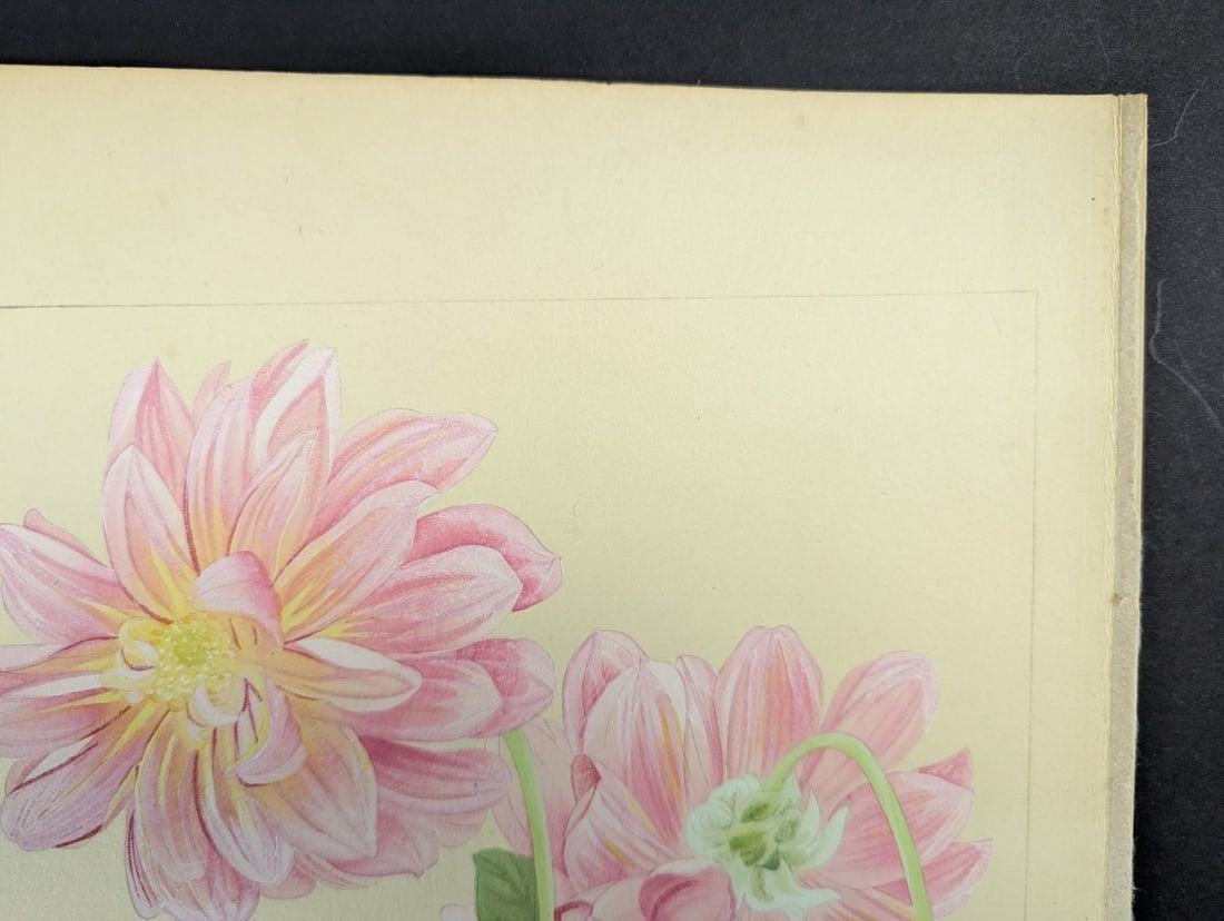 Japanese Woodblock Print Dahlia by Rakuzan Tsuchiya - Early 20th Century Artwork - 4
