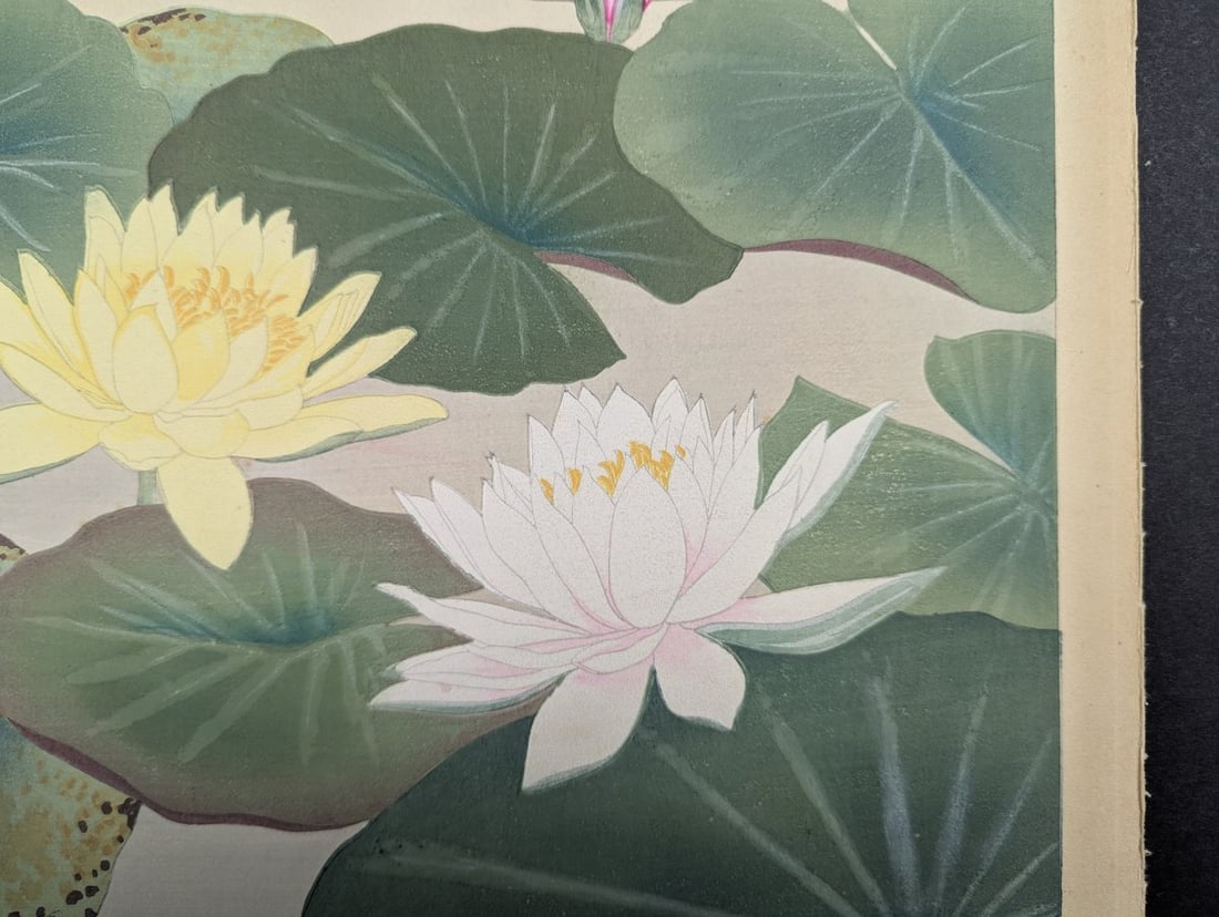 Water Lily Japanese Woodblock Print by Rakuzan Tsuchiya - 10