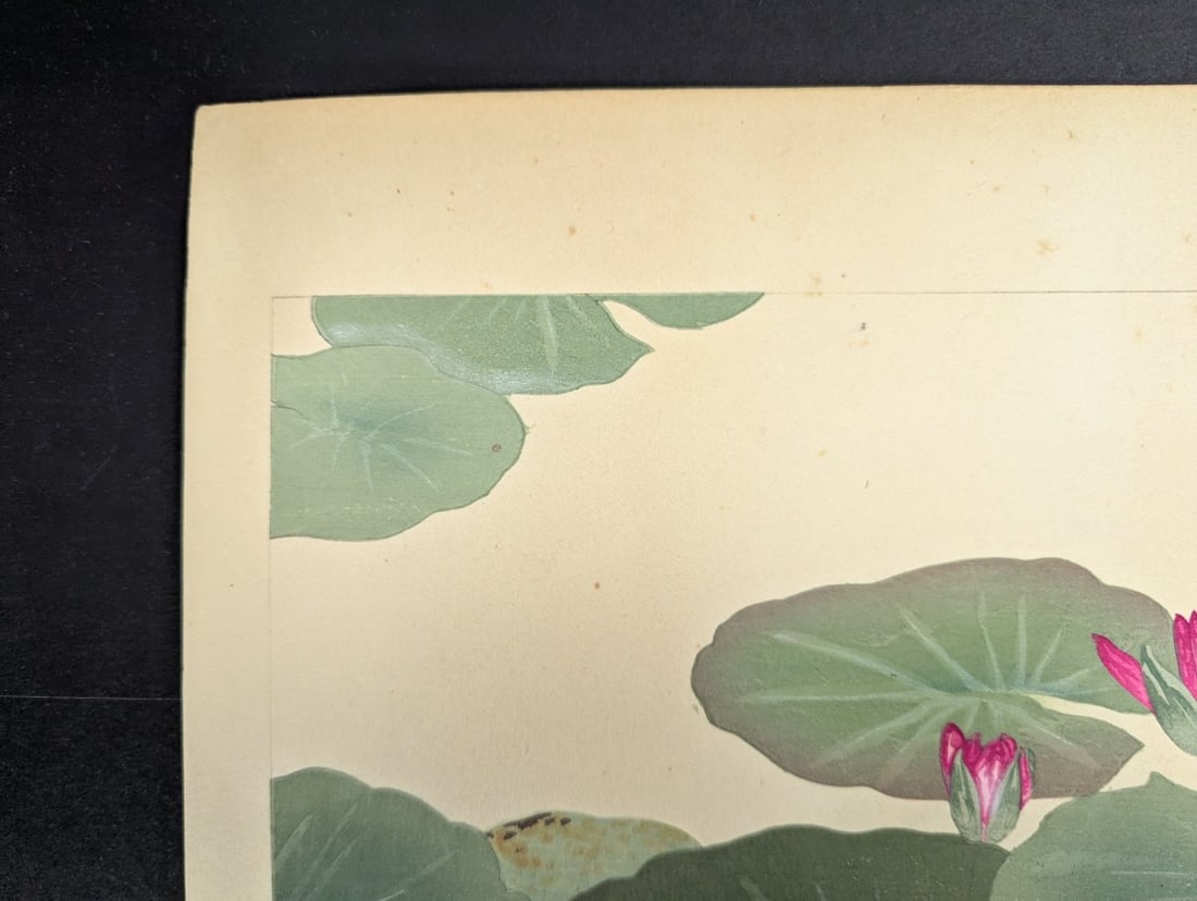 Water Lily Japanese Woodblock Print by Rakuzan Tsuchiya - 2