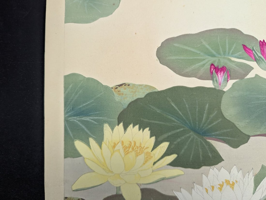 Water Lily Japanese Woodblock Print by Rakuzan Tsuchiya - 3